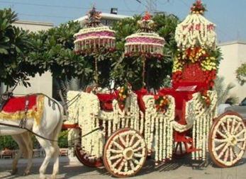 Original Sindhi Ghori Wale
